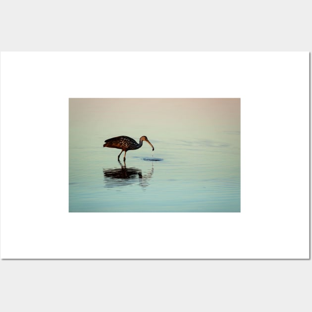 Limpkin with a Mollusk Wall Art by irishmurr